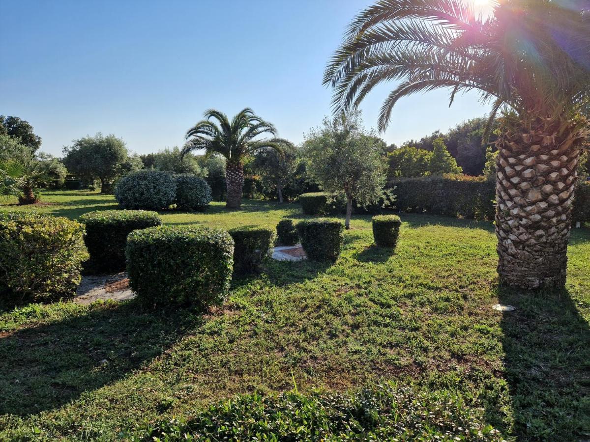 Adriatic Appartement